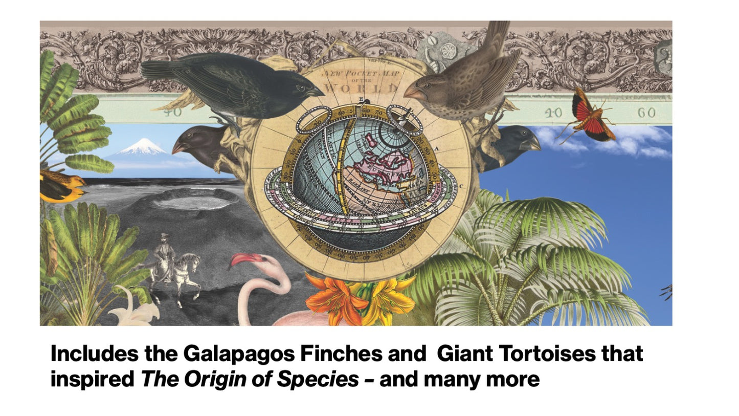 Charles Darwin's Voyage on H.M.S. Beagle 1000 pcs. Puzzle