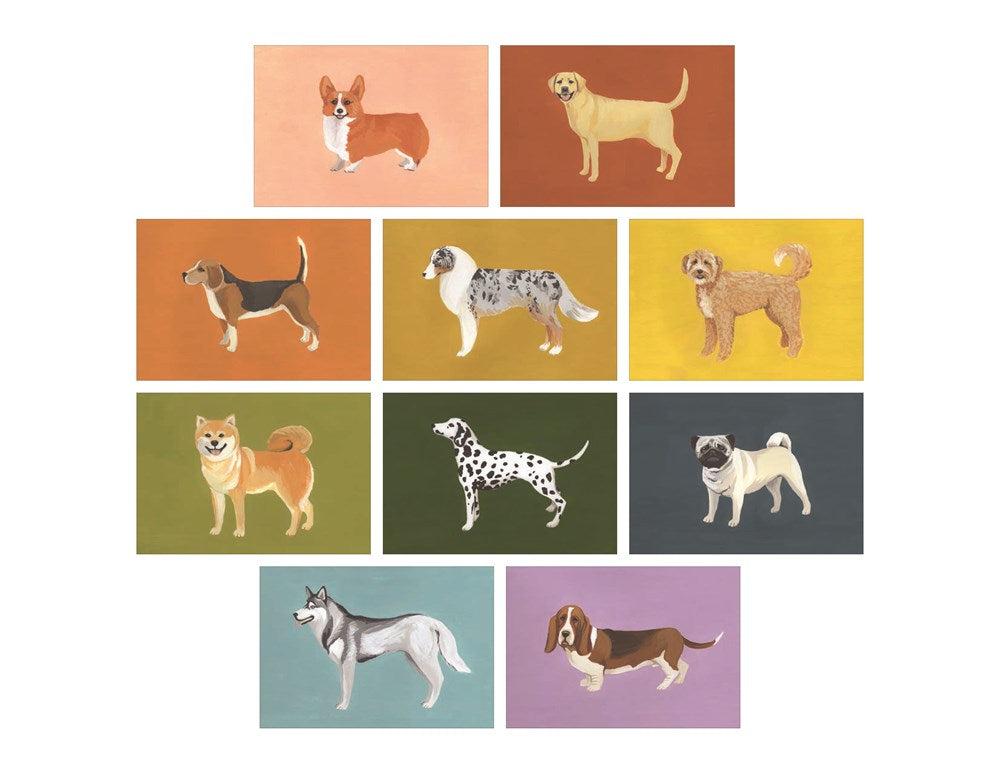 Dog Box - 100 Postcards by 10 Artists