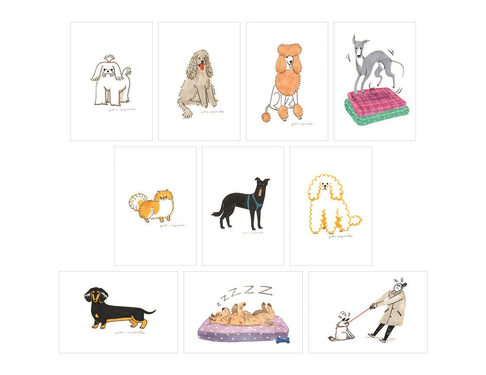 Dog Box - 100 Postcards by 10 Artists