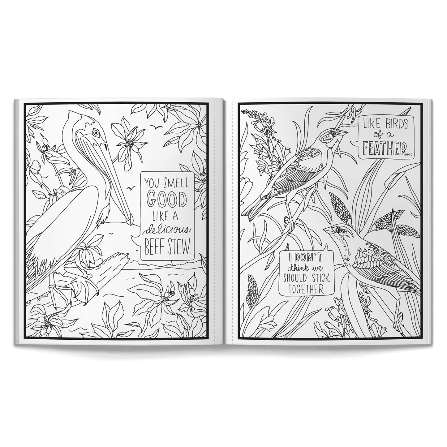 Salty Birds Coloring Book