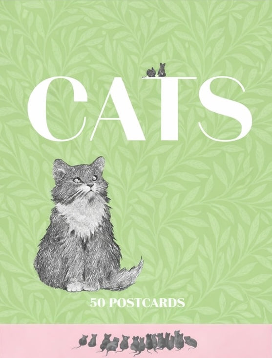 Cats - 50 Postcards