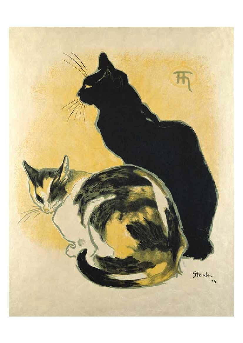 Cats - 50 Postcards
