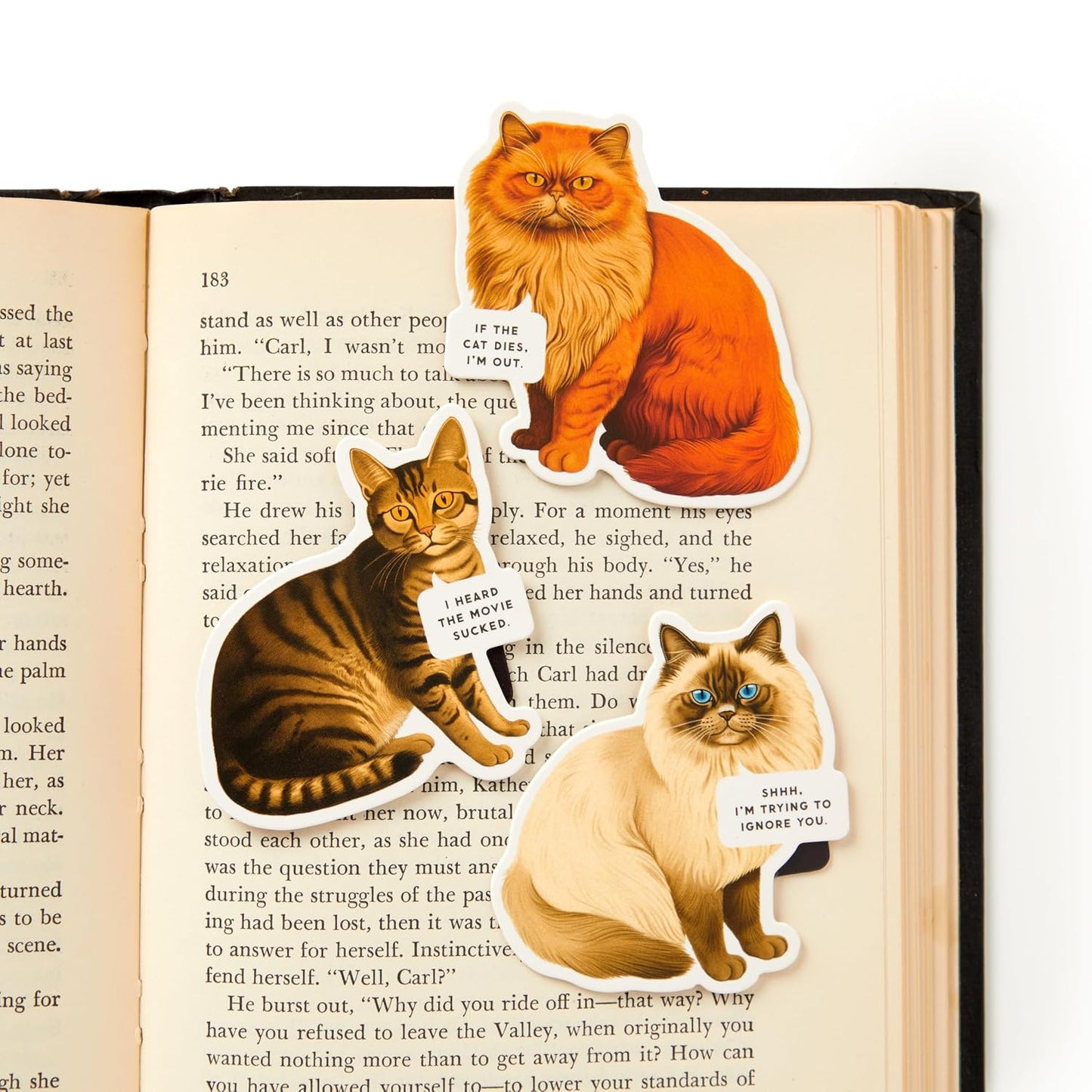 Moody Cats Magnetic Bookmark Set