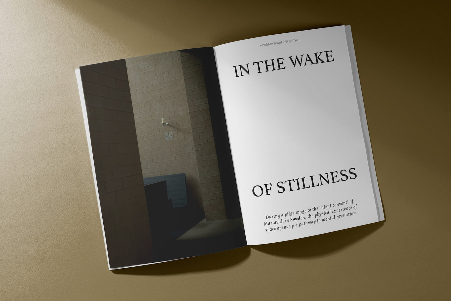 Akt Magazine Issue VII