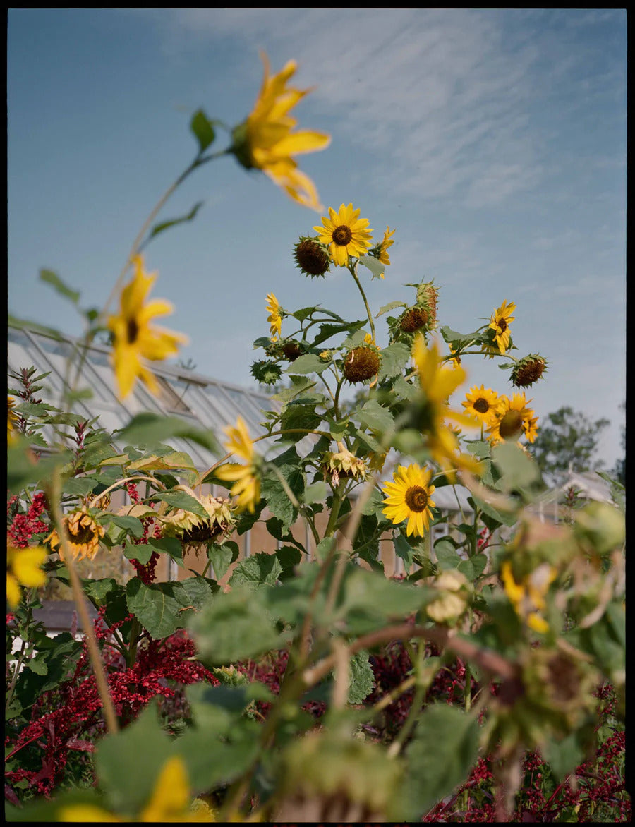 A Magazine 29: Curated by Cecilie Bahnsen