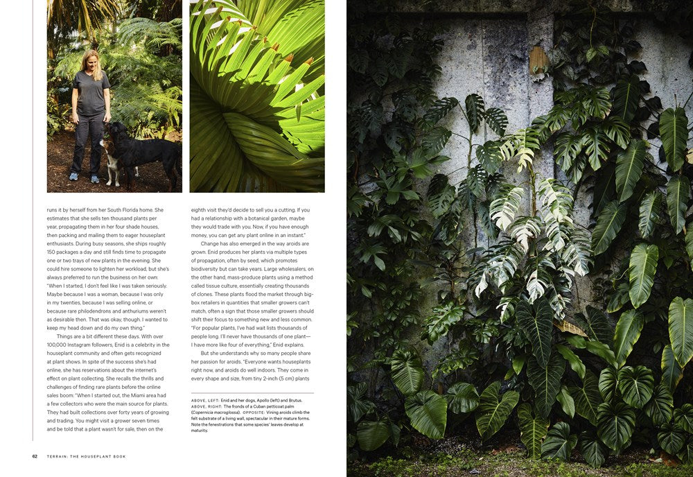 The House Plant book