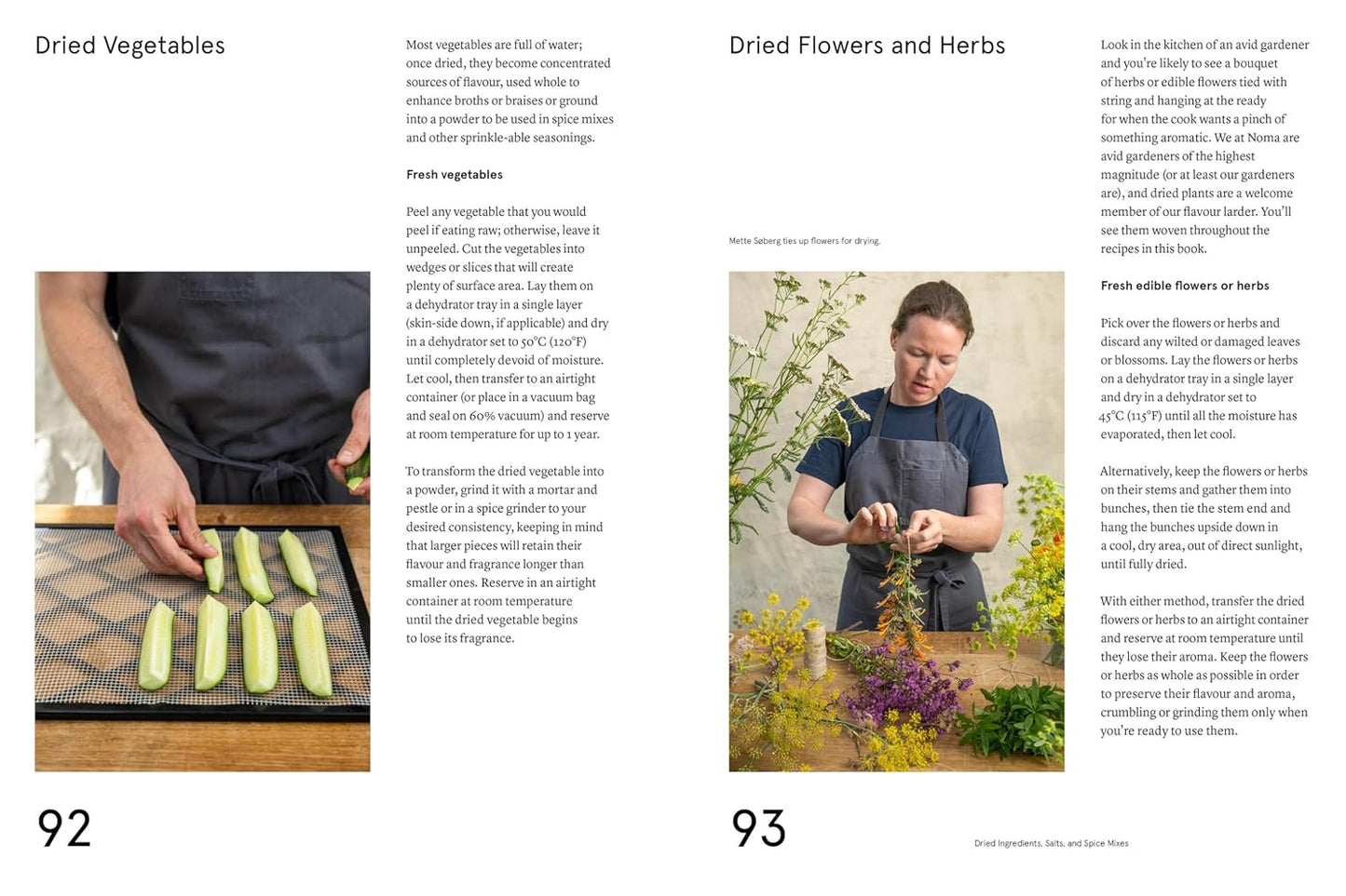 The Noma Guide to Building Flavour