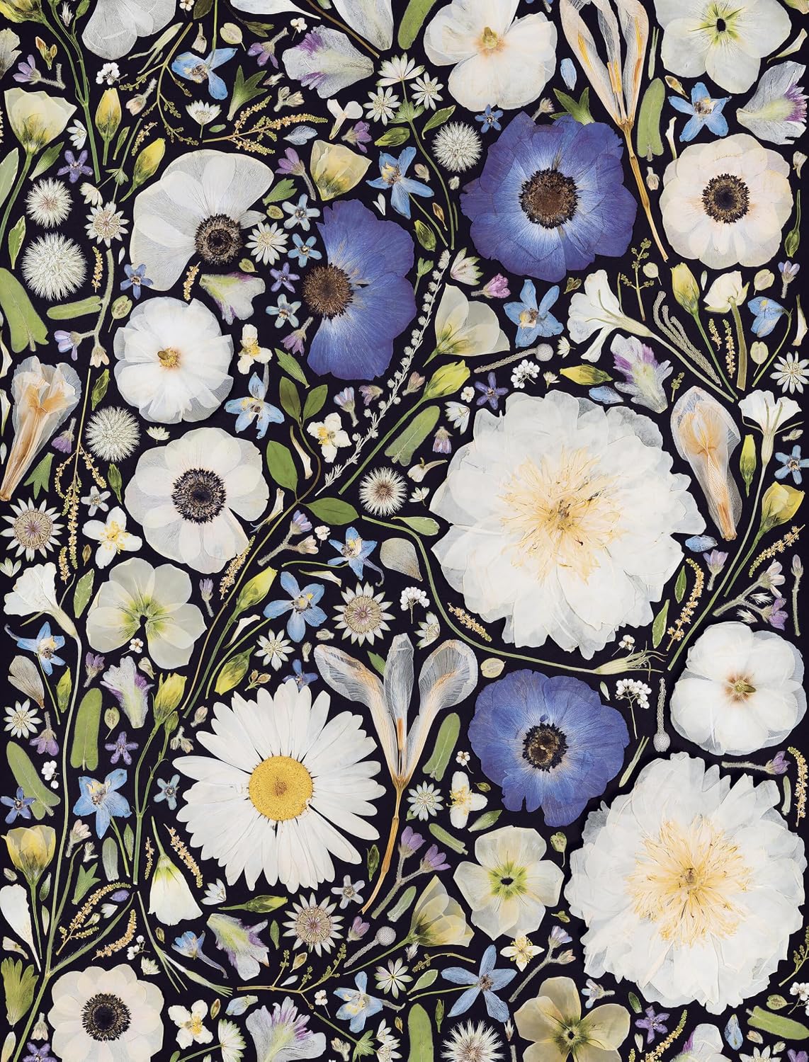 Beautiful Blooms - Wrapping Paper Book