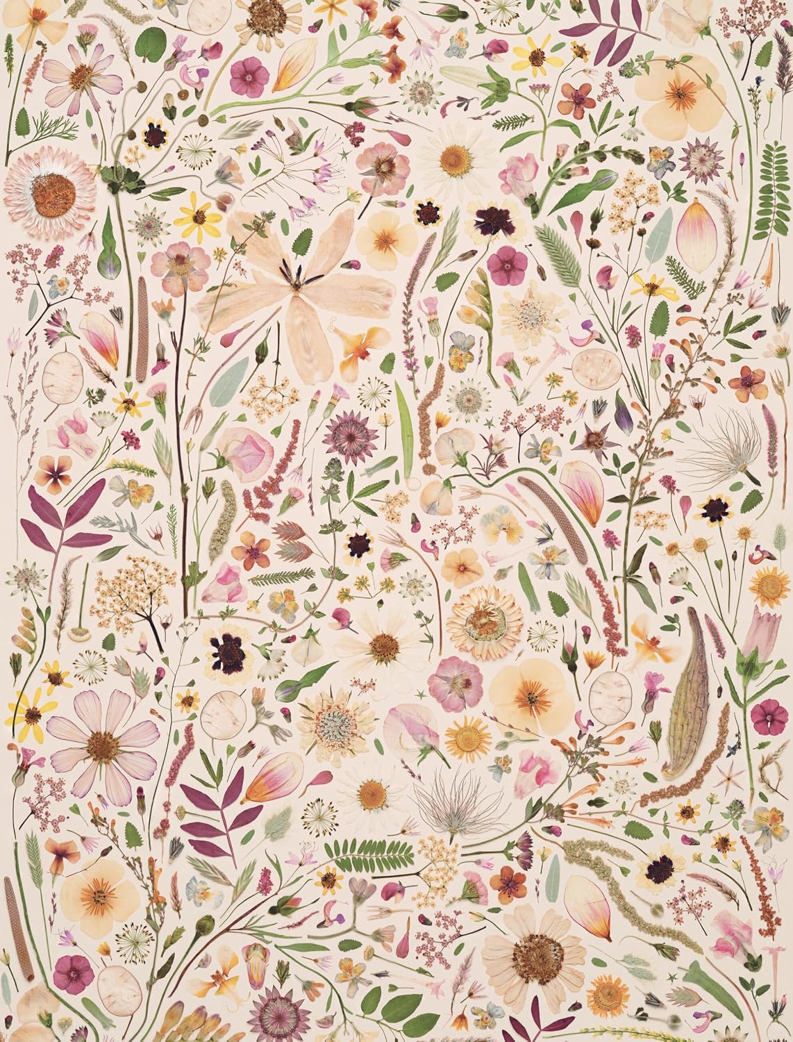 Beautiful Blooms - Wrapping Paper Book