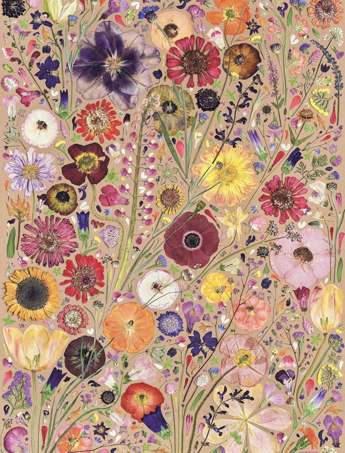 Beautiful Blooms - Wrapping Paper Book