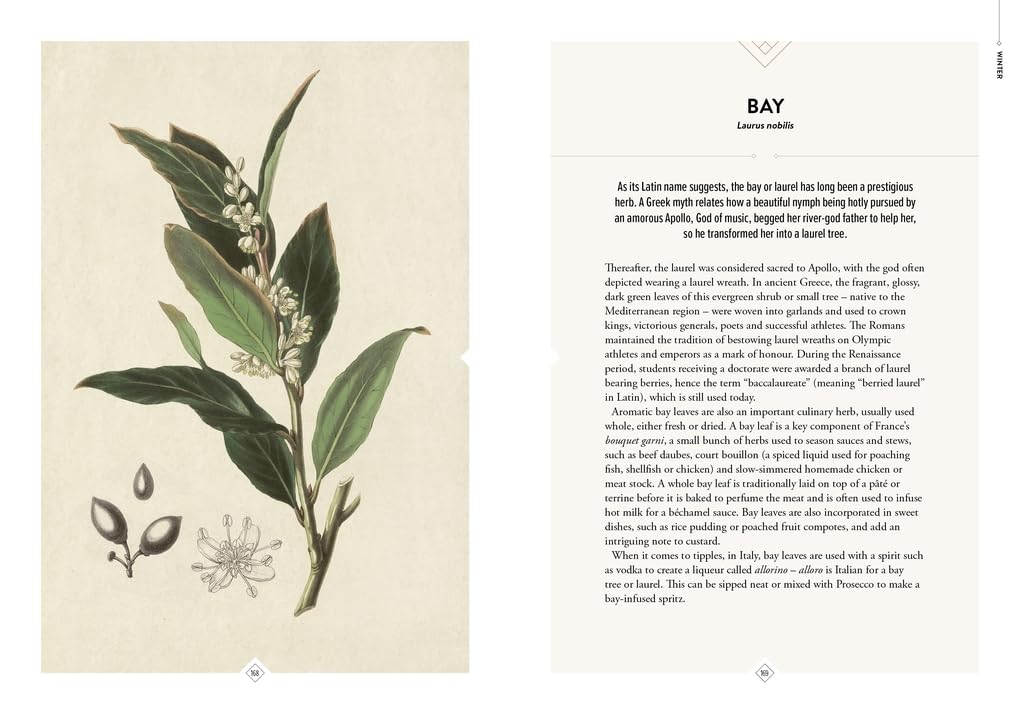 The Botanical Bar