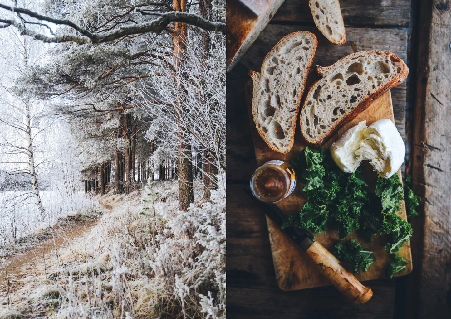 Food Over the Campfire