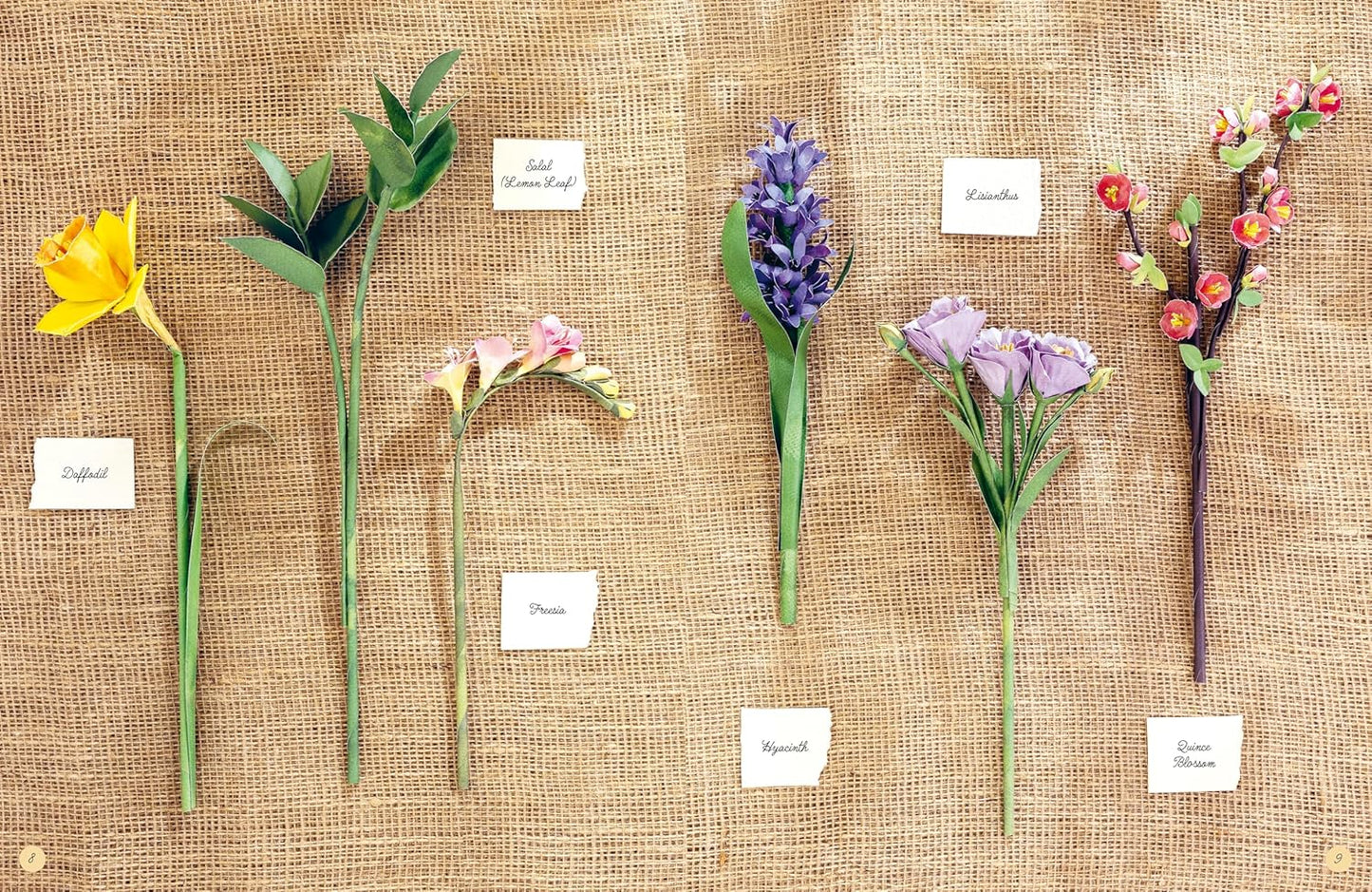 The Bouquet in a Book: Spring