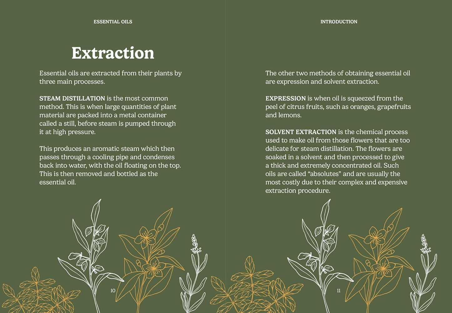 The Pocket Essential Oils