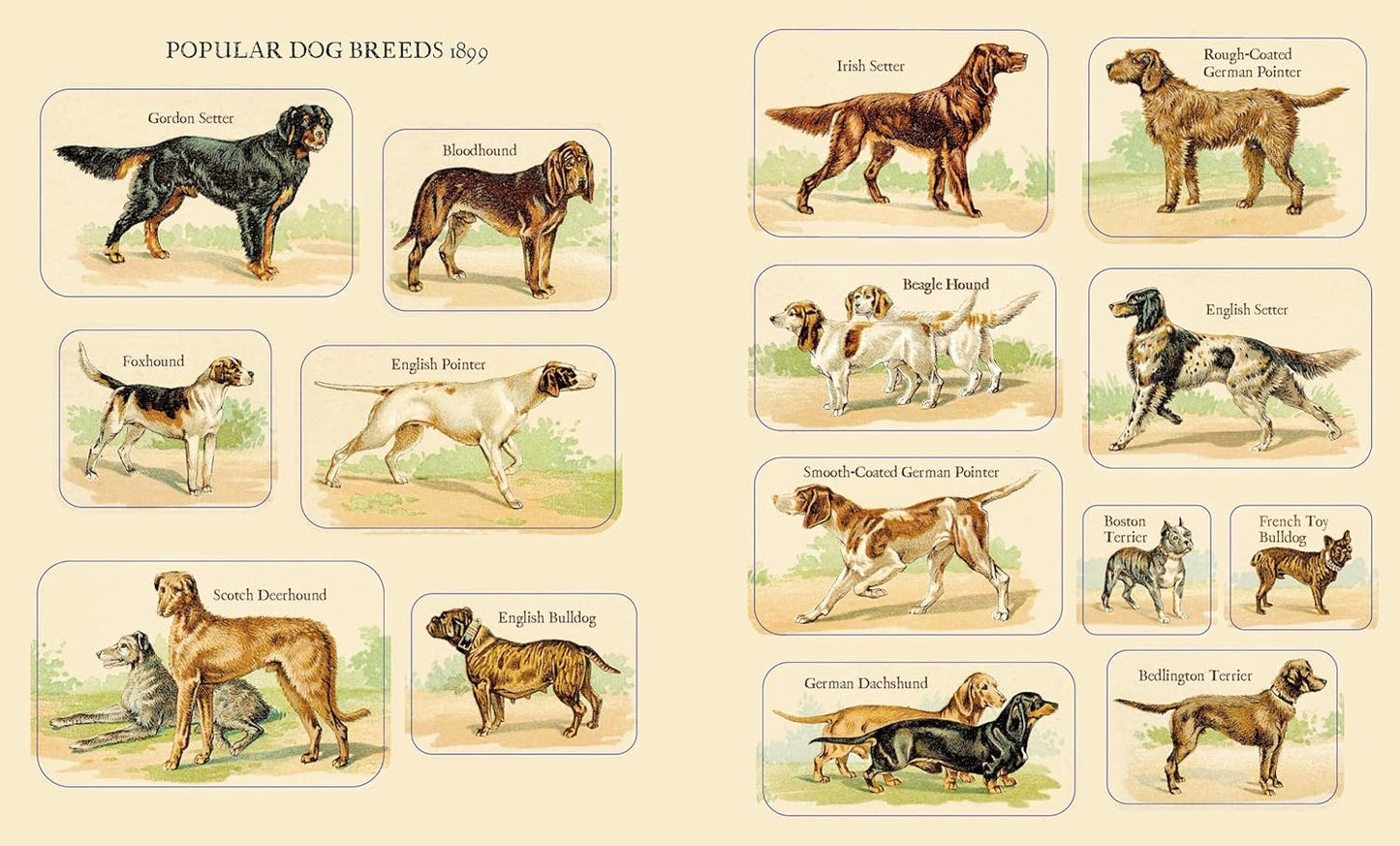 Victoriana Dog Sticker Book