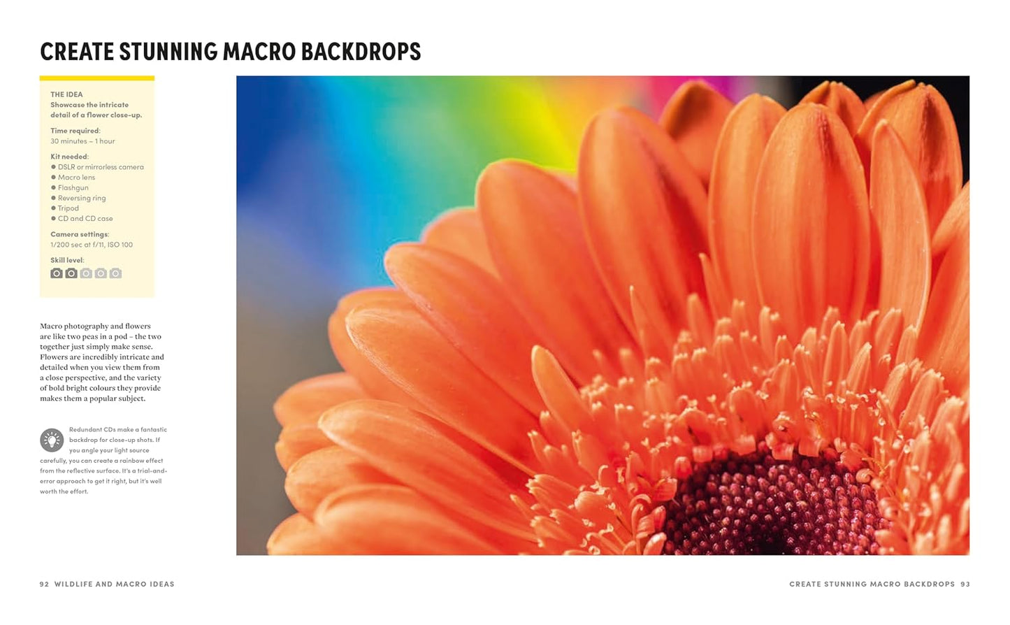 The Ultimate Photography Ideas Book