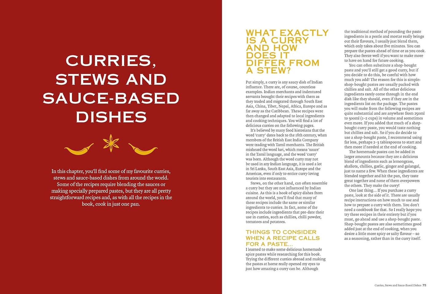 The Curry Guy