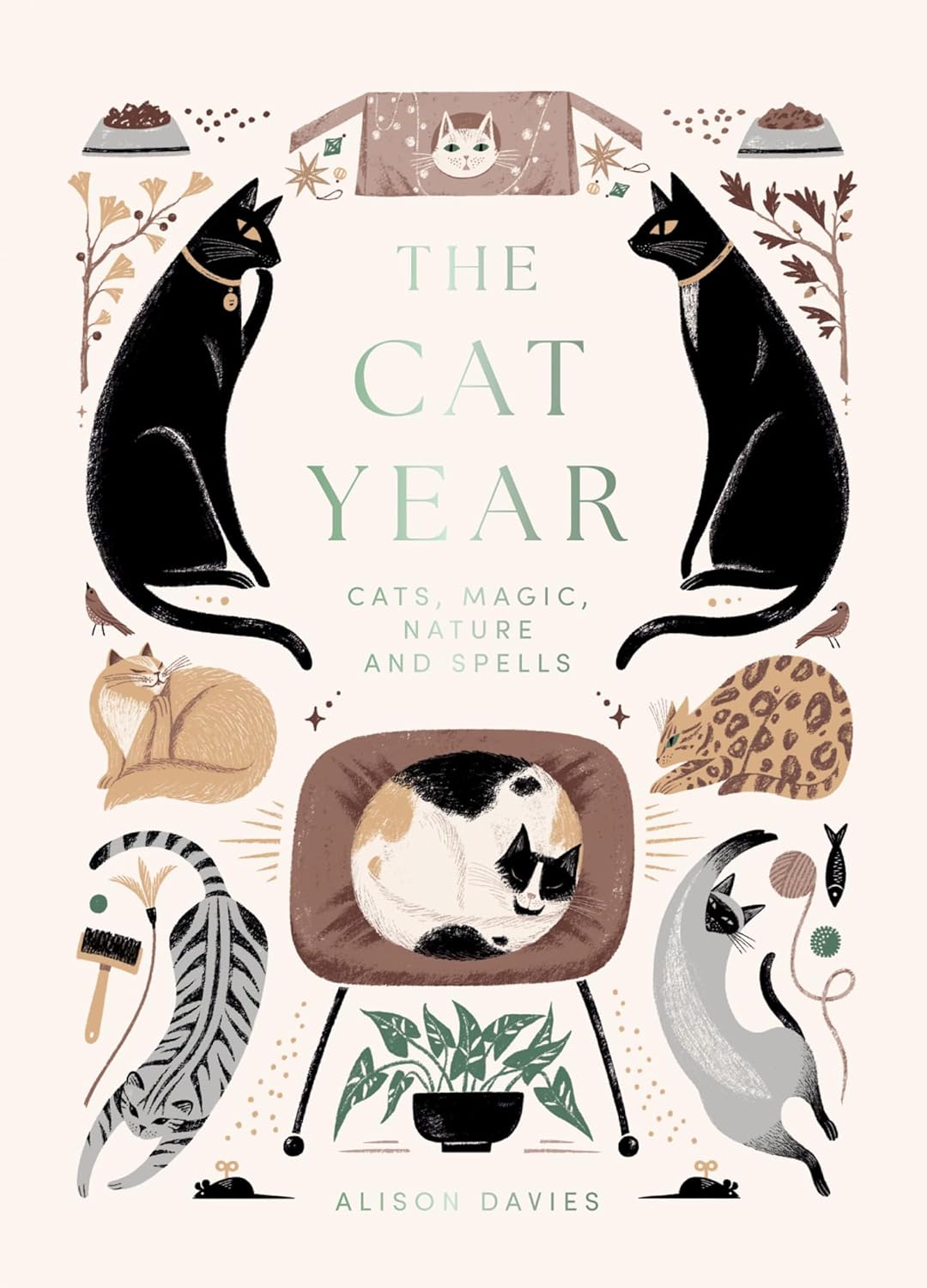 Cat Year