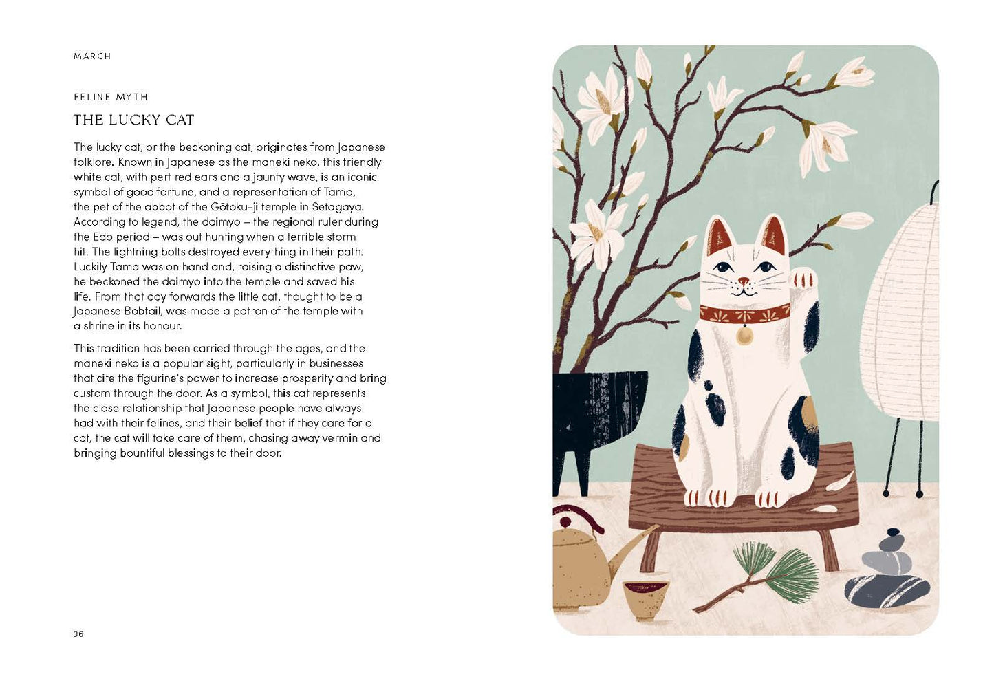 Cat Year