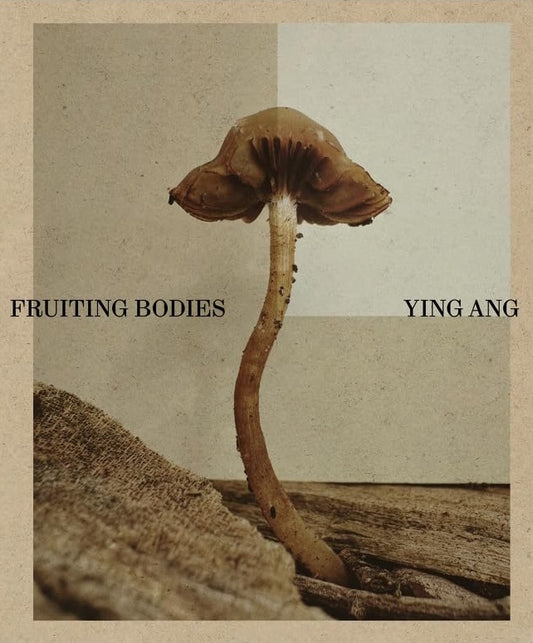 Fruiting Bodies