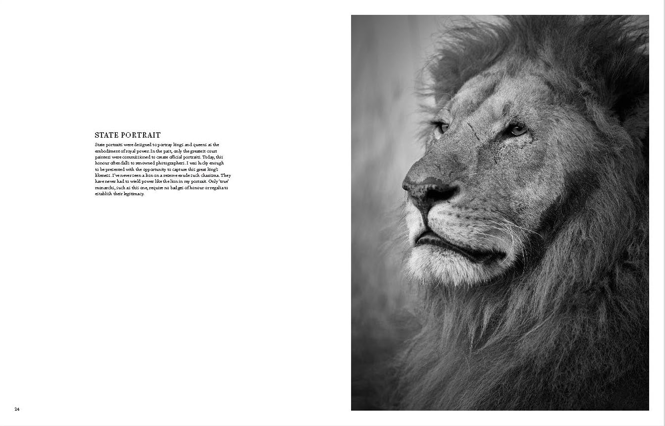 True Wildlife