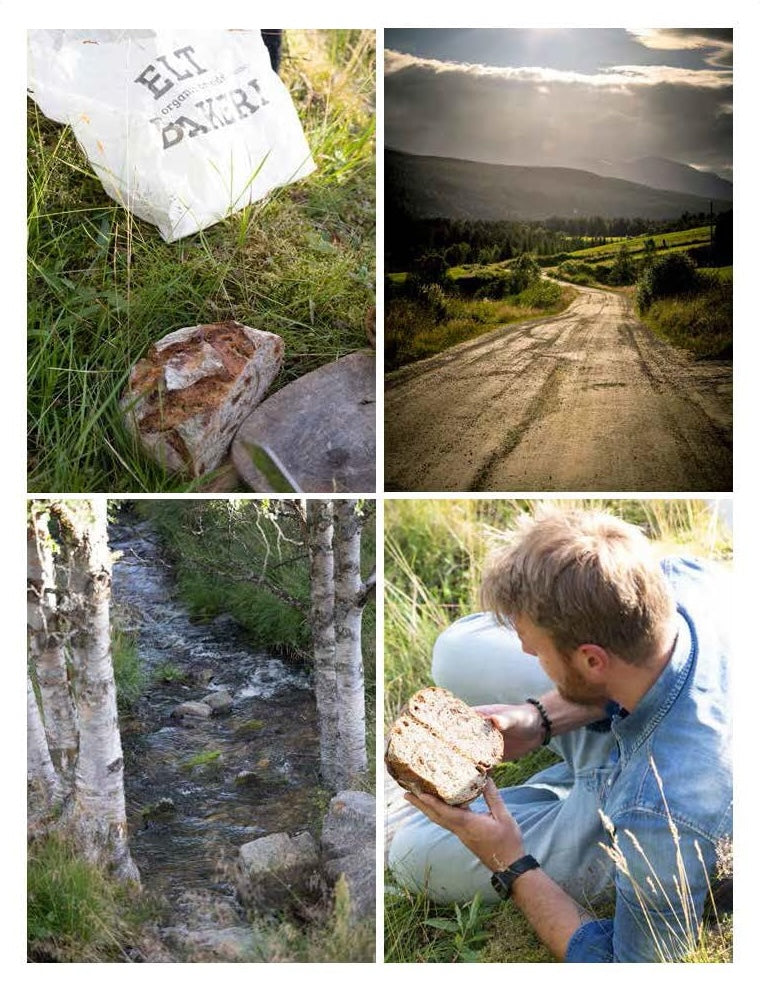 The Sourdough Baking Book