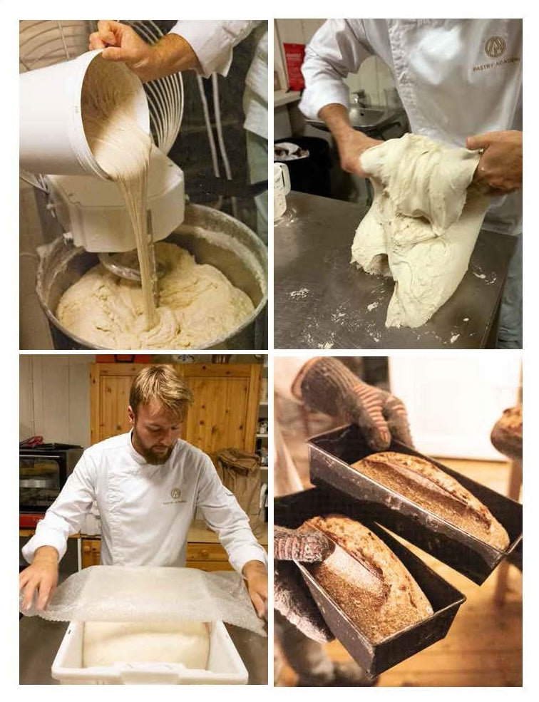 The Sourdough Baking Book
