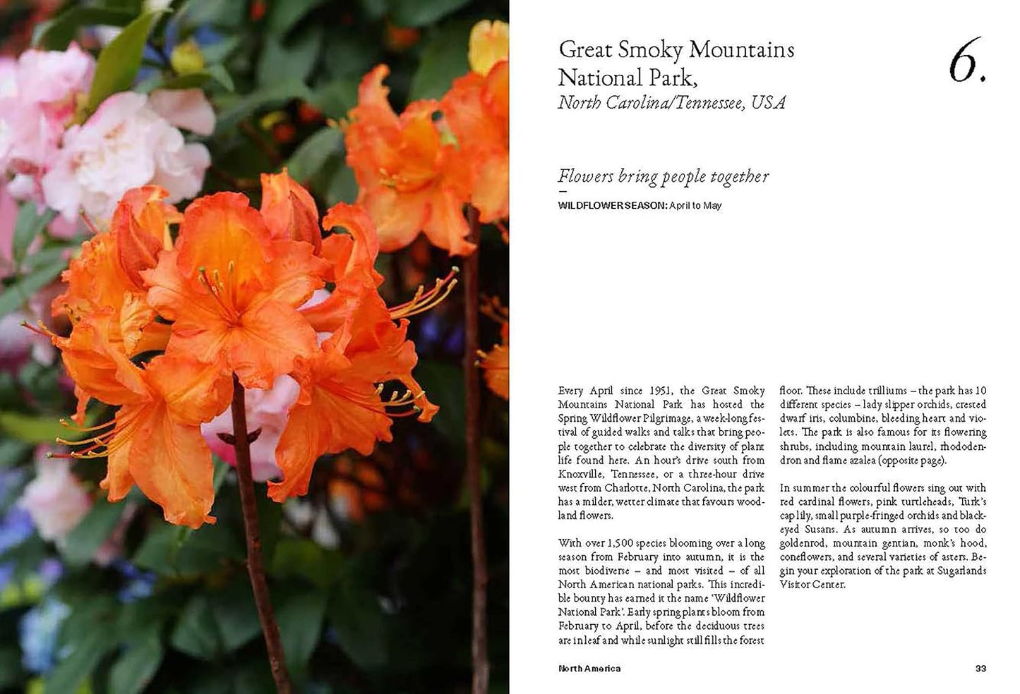 The Wildflower Travel Book