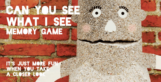 Can You See What I See Memory Game