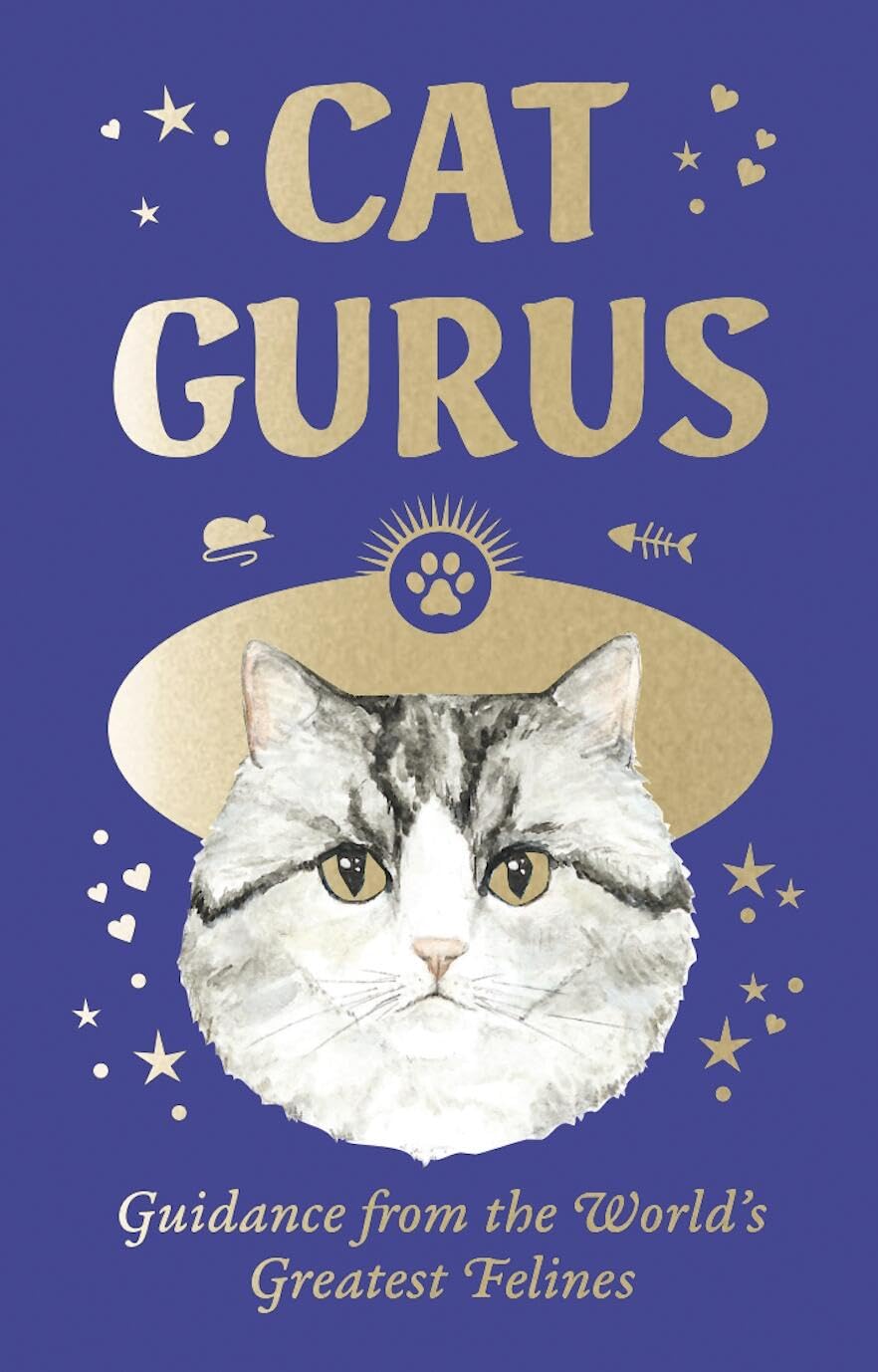 Cat Gurus - Mini Deck