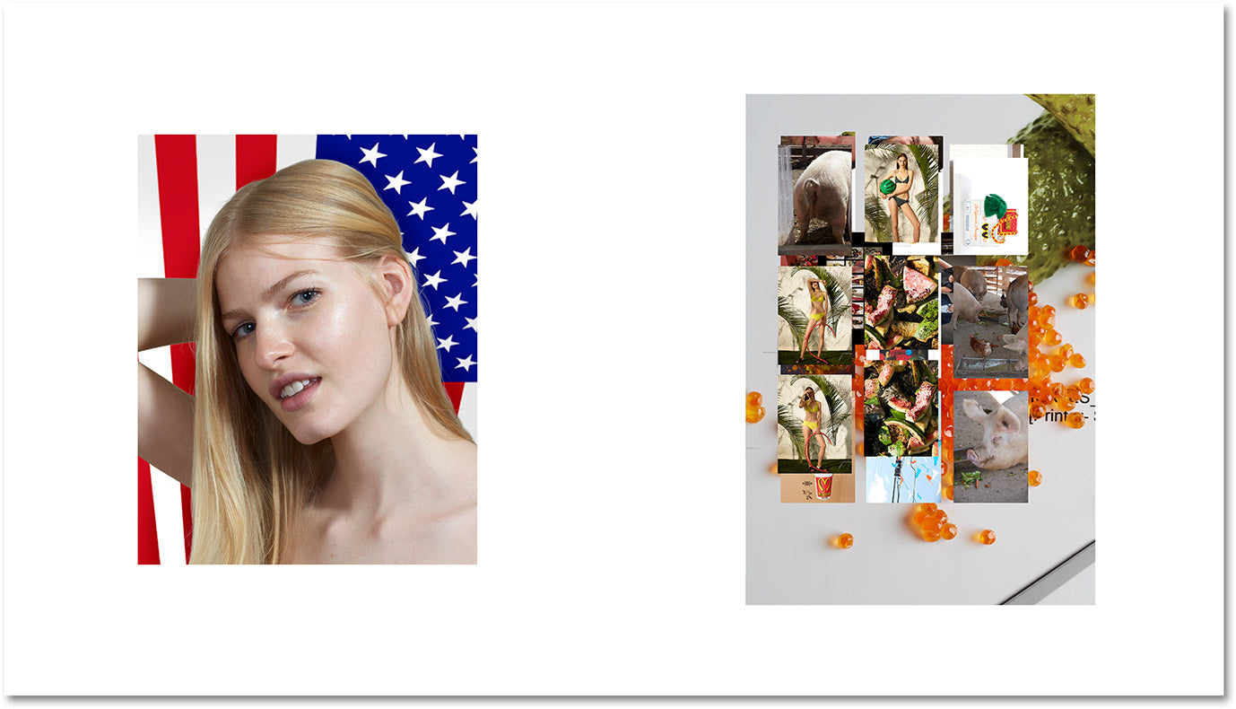 AMERICAN POLYCHRONIC. Roe Ethridge