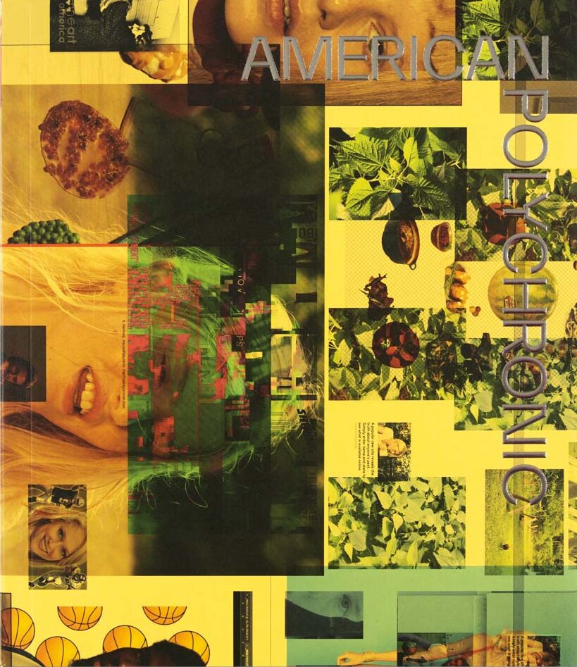 AMERICAN POLYCHRONIC. Roe Ethridge