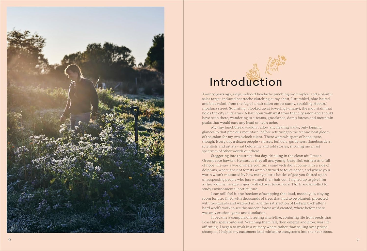 Broccoli & Other Love Stories