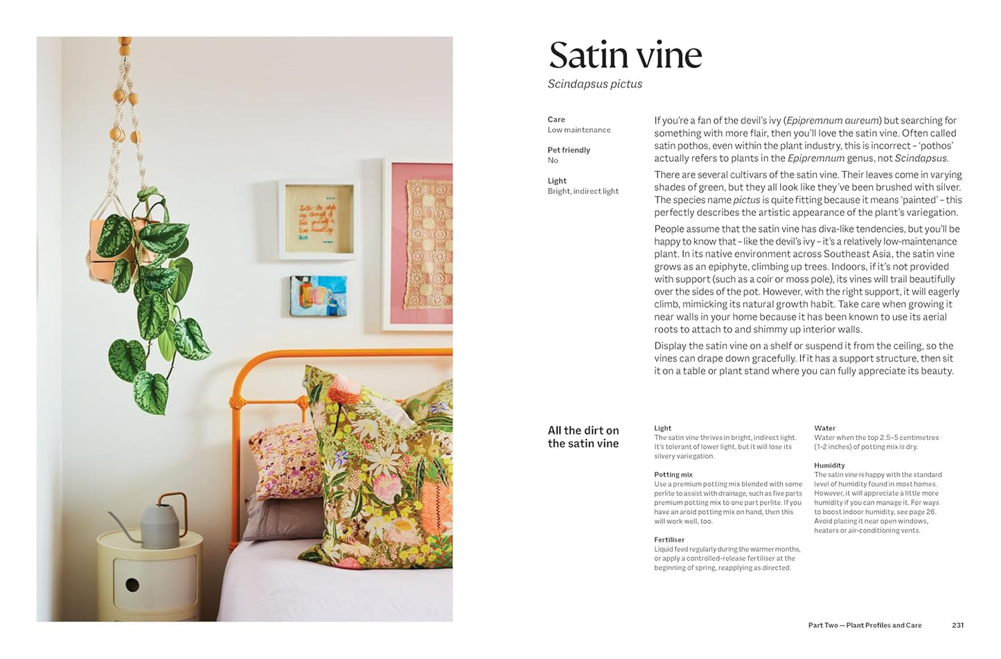 The Plant Book: The ultimate guide to thriving houseplants