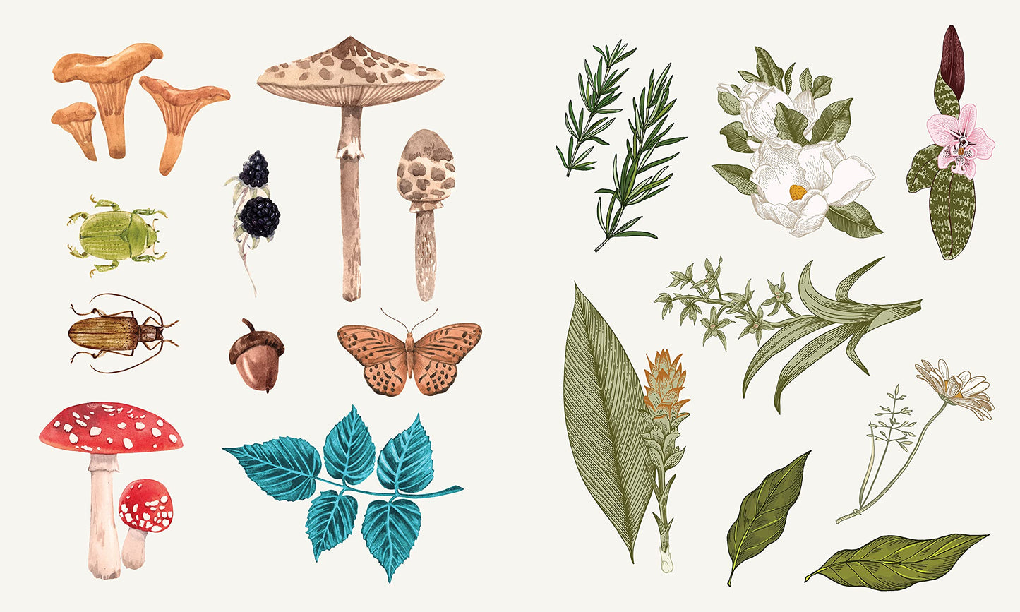 Apothecary – Sticker Studio