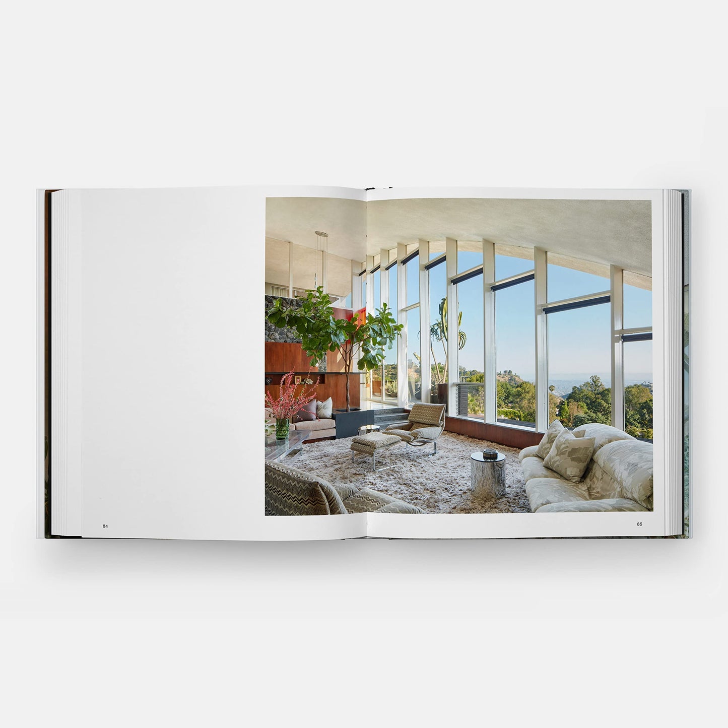 Beyond the Canyon : Inside Epic California Homes