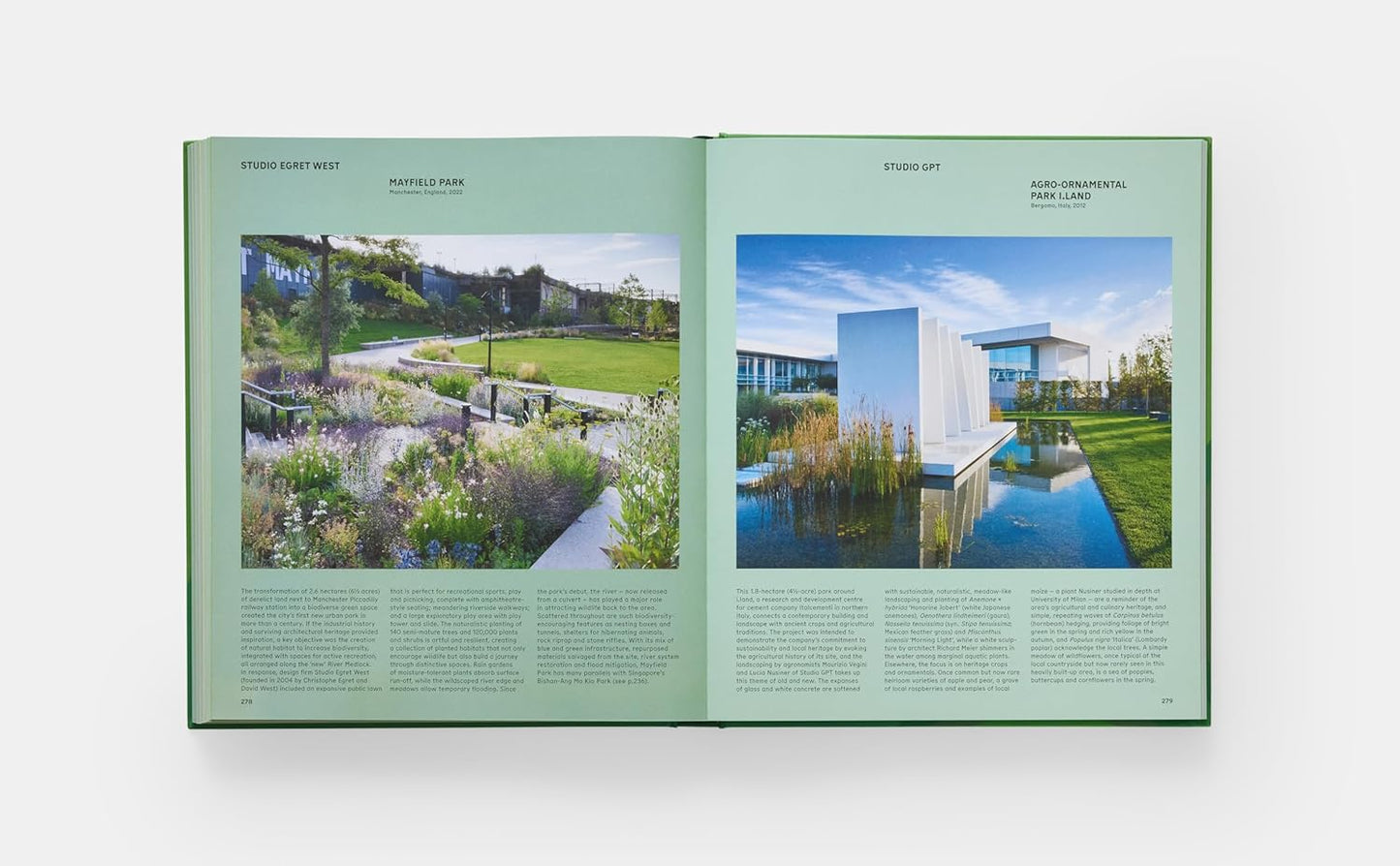 The Contemporary Garden