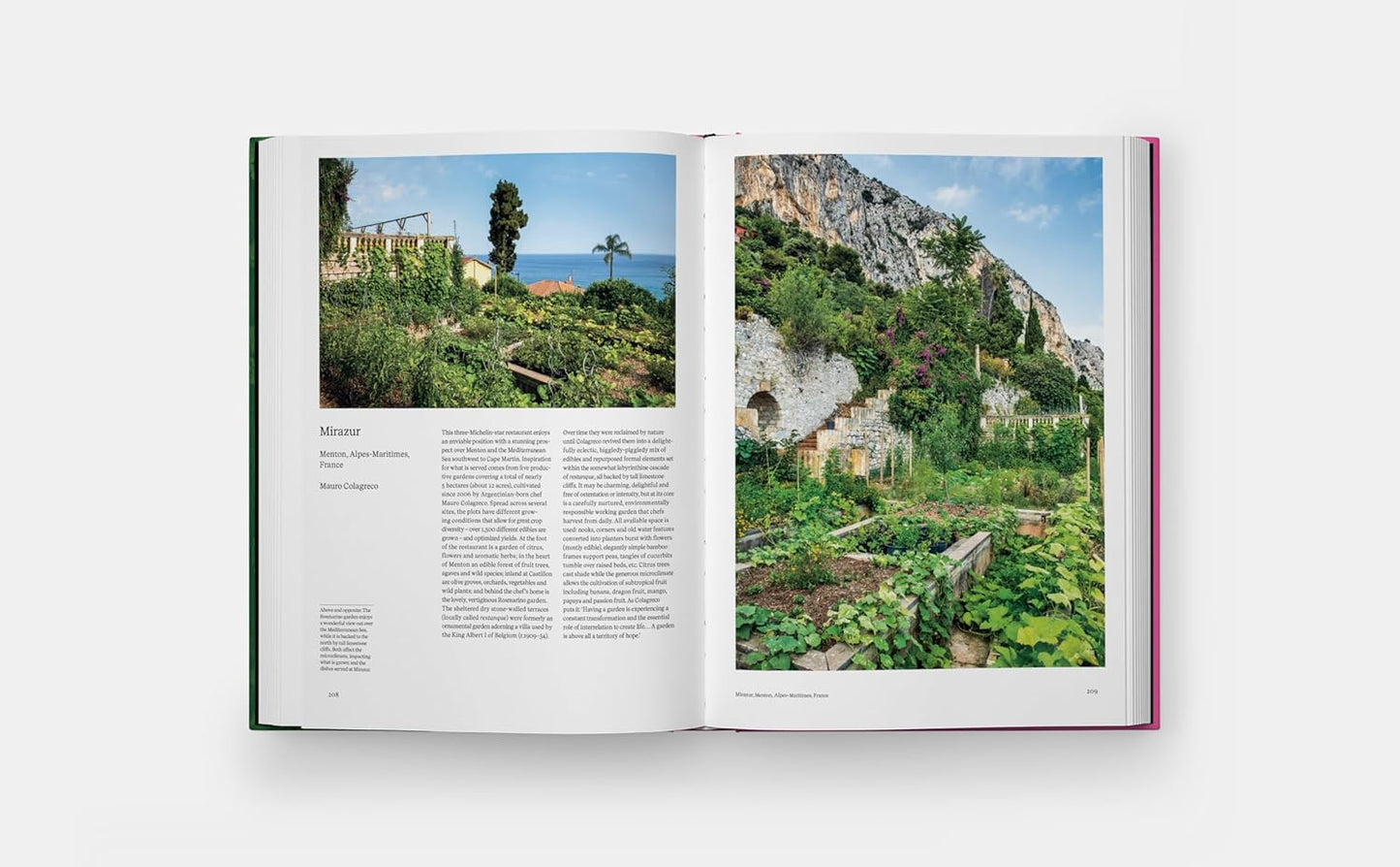 The Kitchen Garden