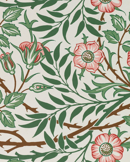 William Morris Keepsake Boxed Notecards