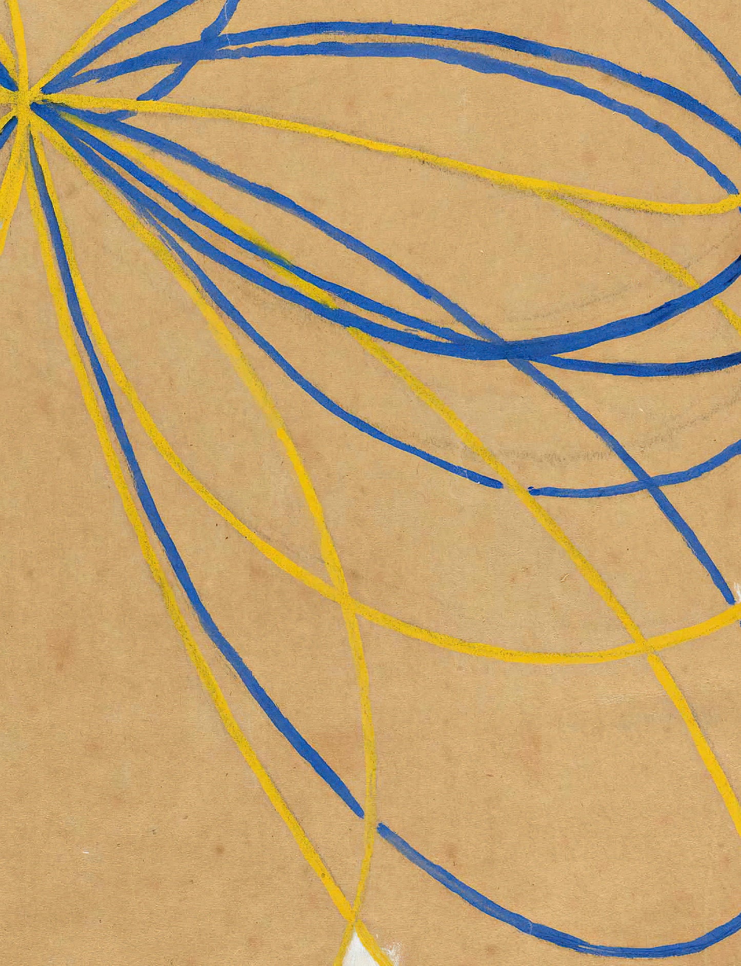 Hilma af Klint Large Notebook Set