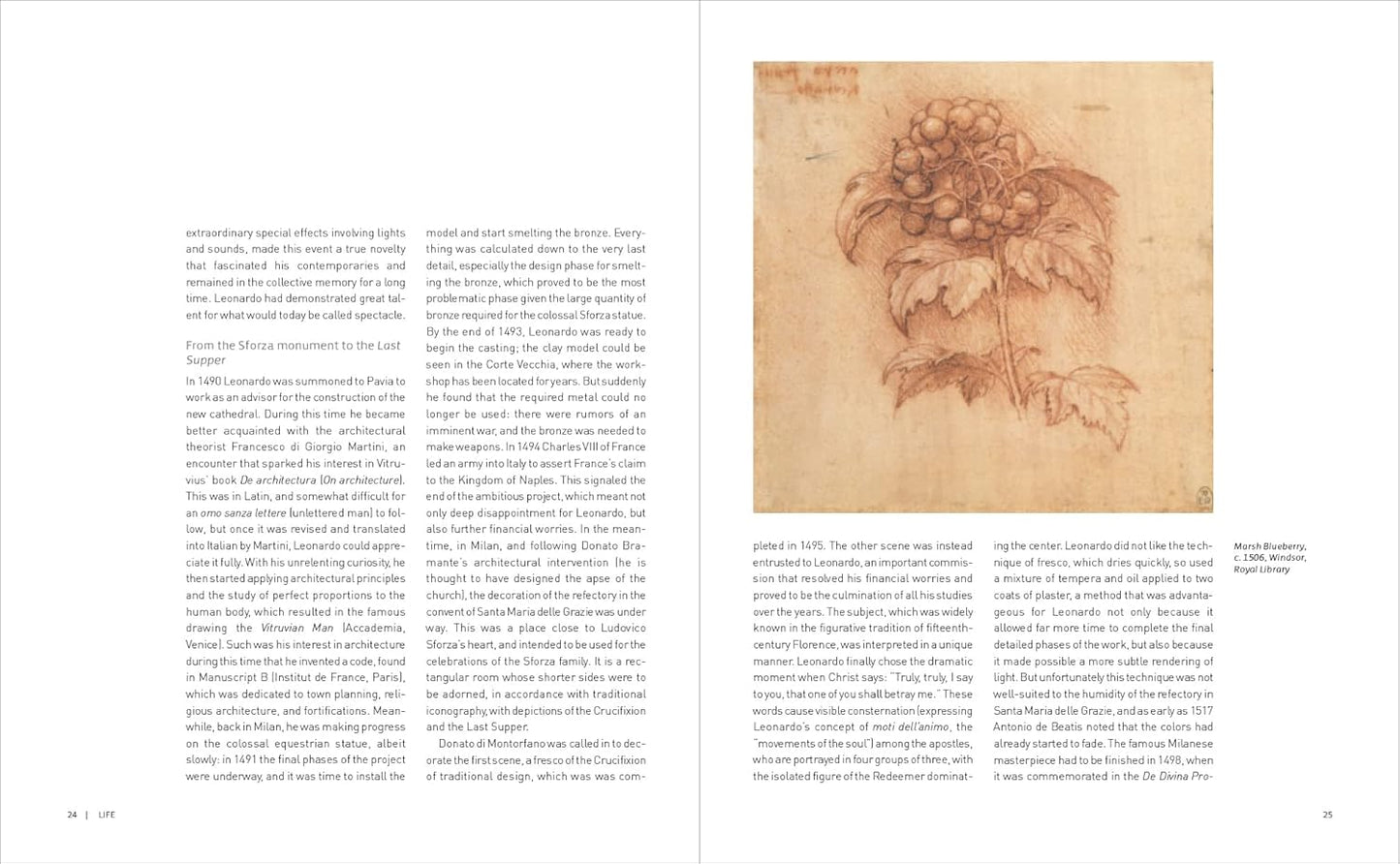 Leonardo - Masters of Art