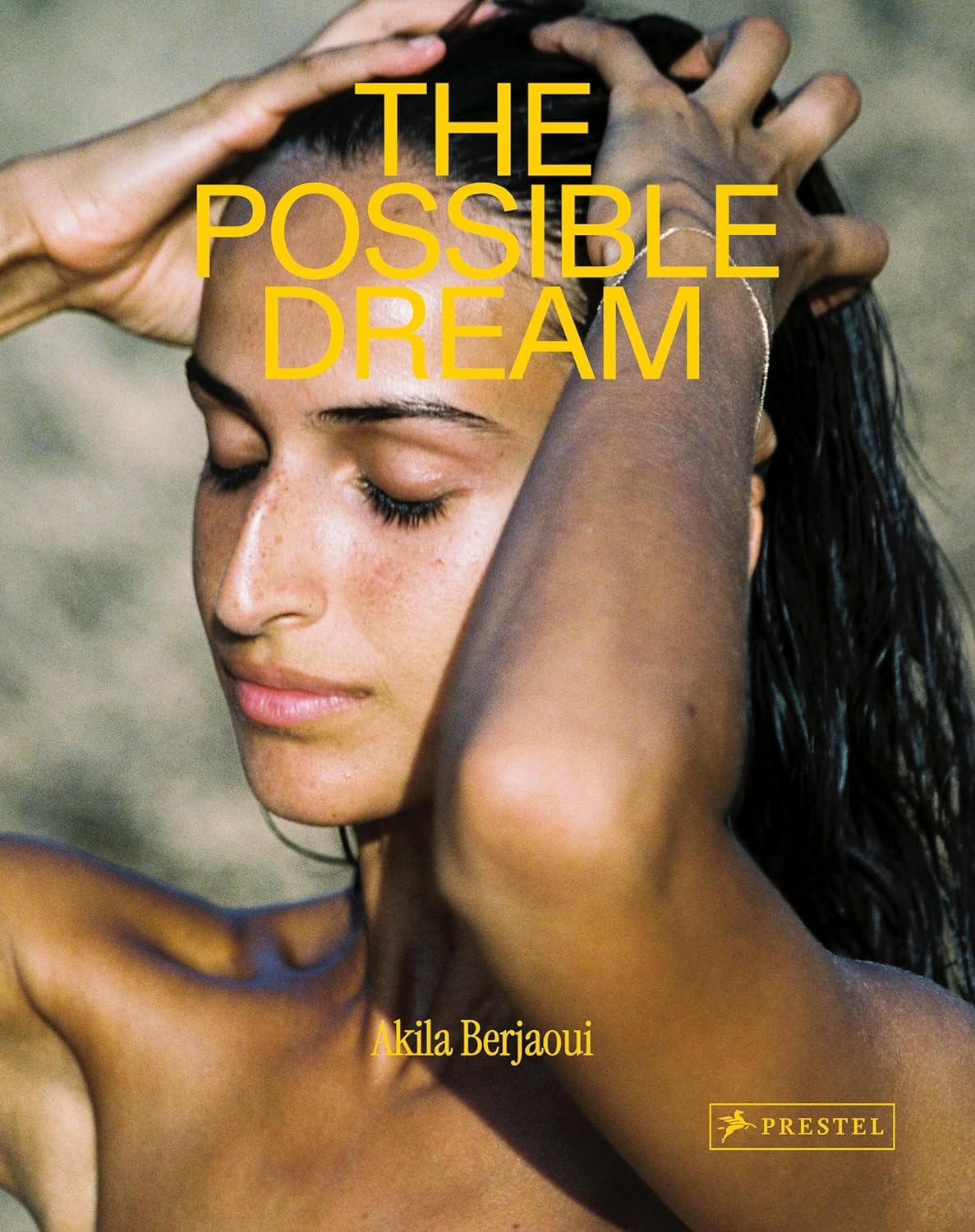 Akila Berjaoui - The Possible Dream