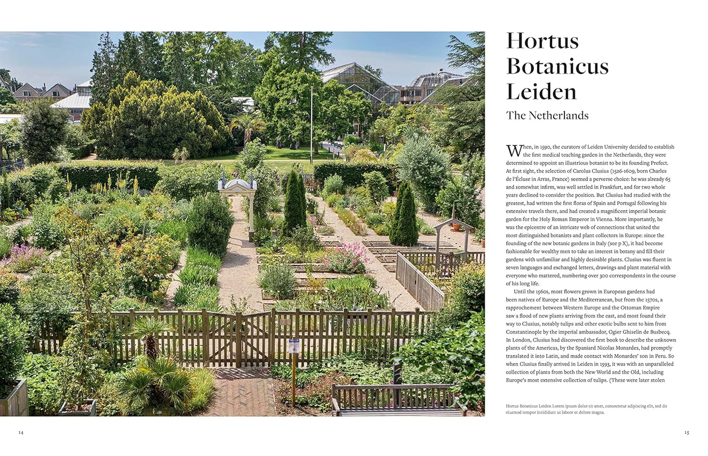 The Botanic Garden