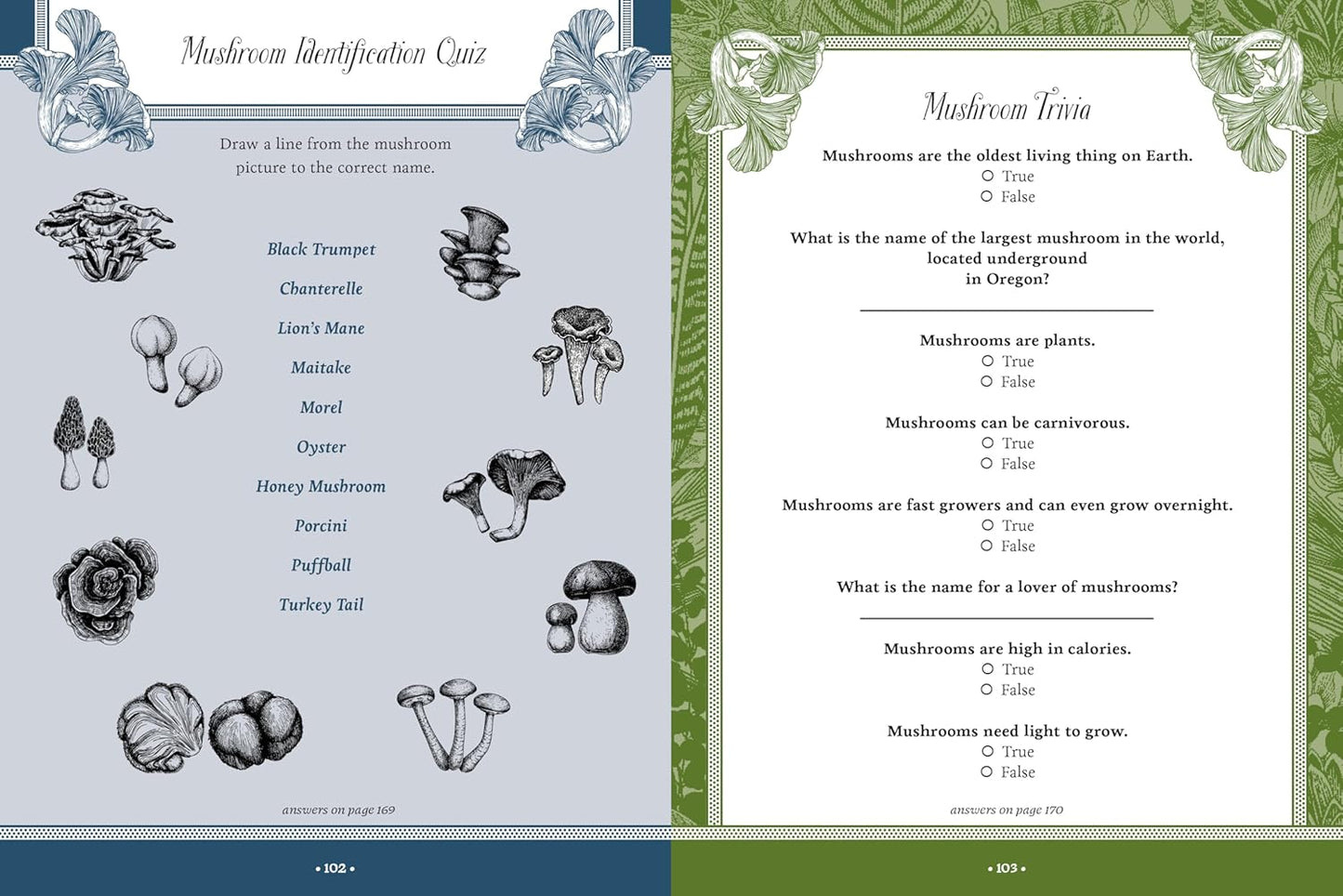 Forest, Fairies, Mushrooms and Goblins Sticker, Color & Activity Book: Over 500 Unique Stickers