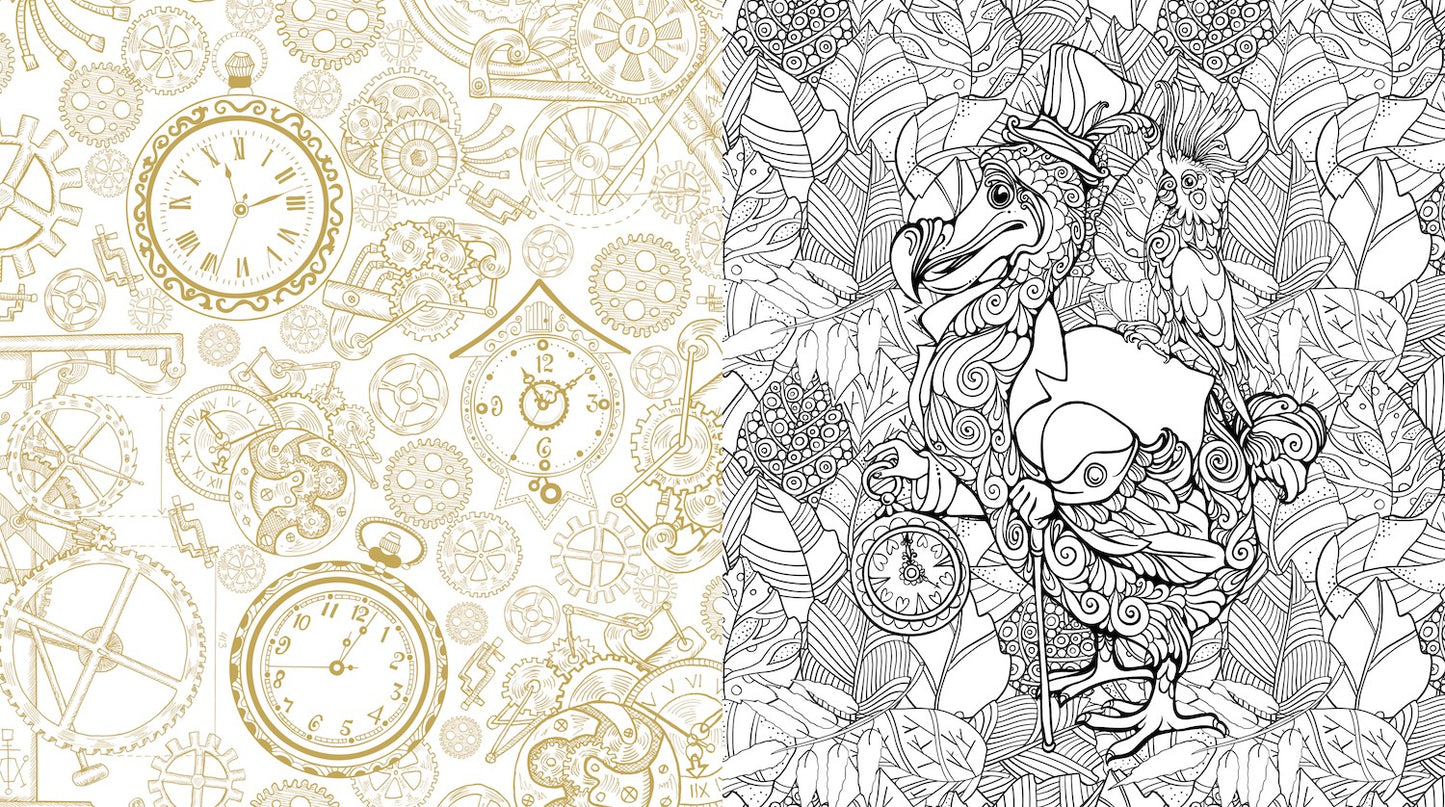 Oddities & Curiosities Coloring Book: A Coloring Journey Through the Weird and the Wonderful