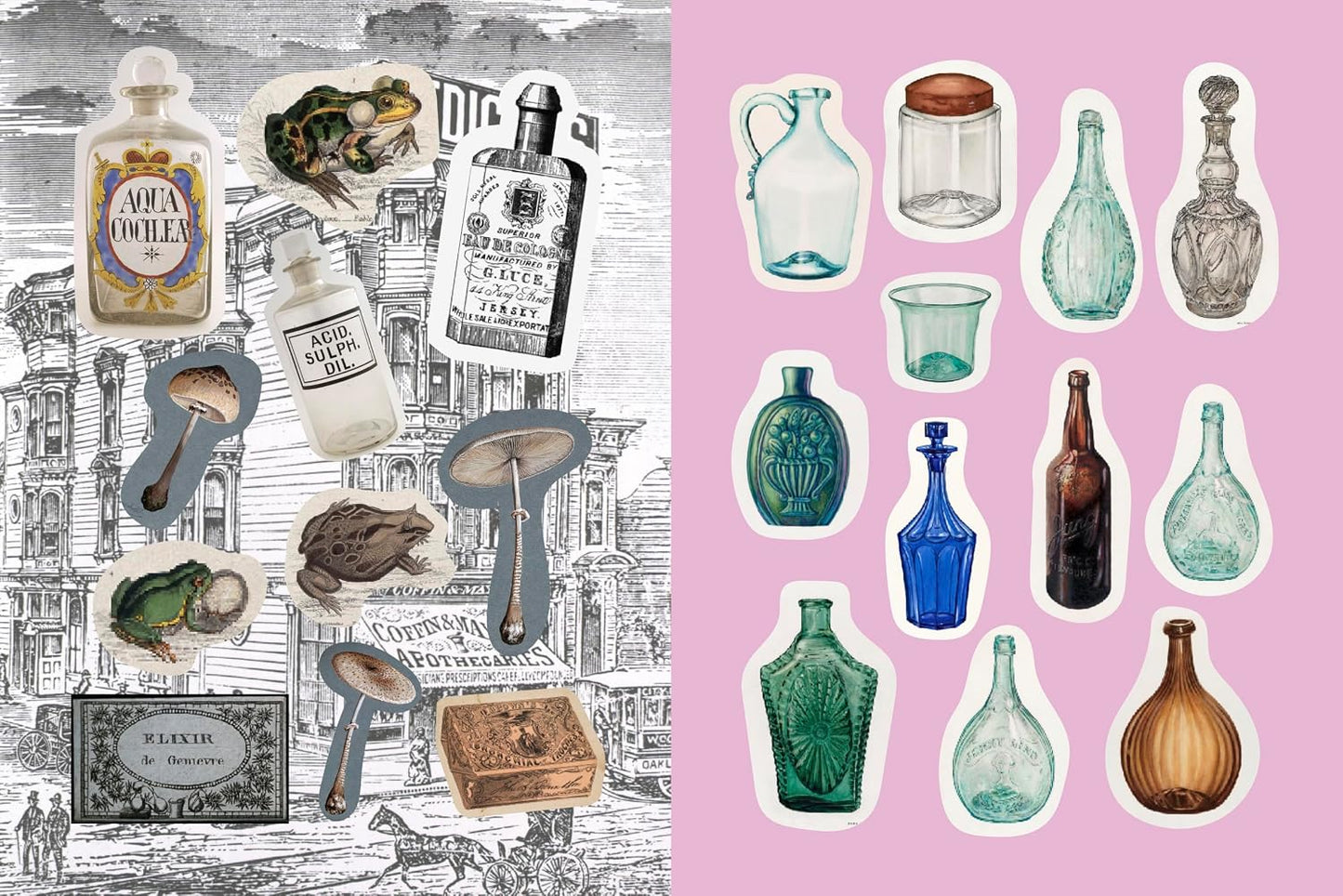Apothecaries. Remedies & Rarities Sticker. Color & Activity Book