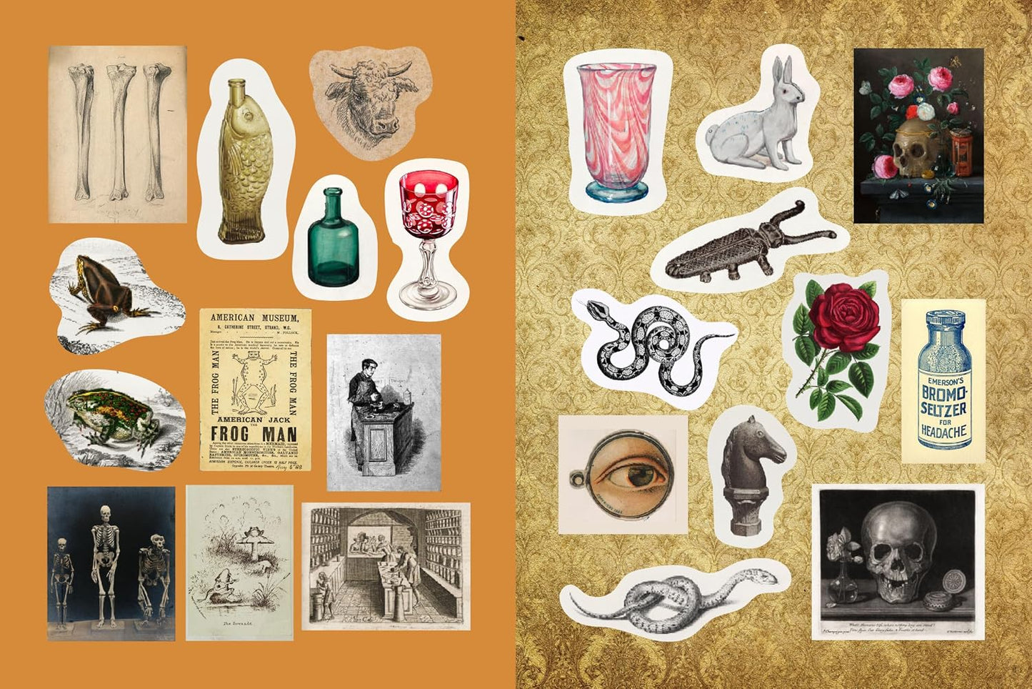 Apothecaries. Remedies & Rarities Sticker. Color & Activity Book