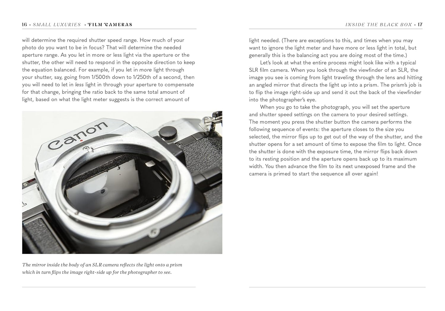 Film Cameras - Small Luxuries