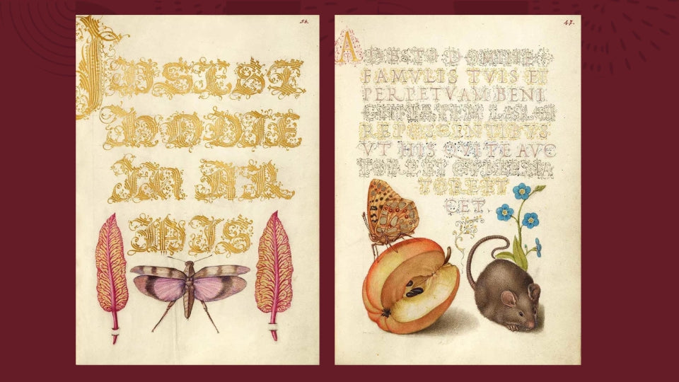 The Esoterica Sticker Book