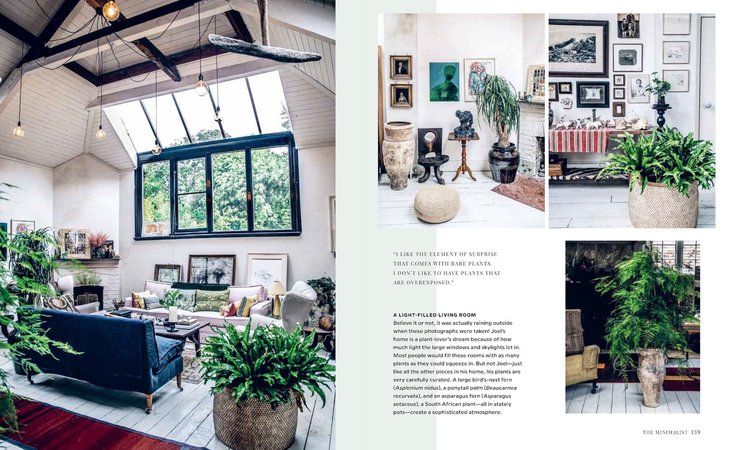 Wild Interiors